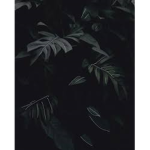 Zodiac Stars
