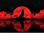 Crusader1118's Fan Group+ free vip server