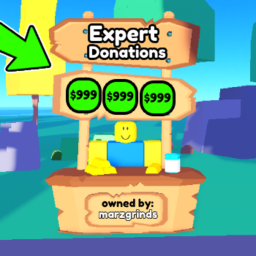 [💸NEW!] Expert Donations