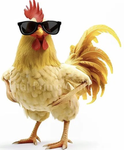 FOR THE CHICKENS!!!!