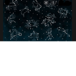 The Nice Zodiacs