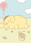 Glares berries