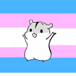TransgenderHamster