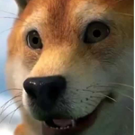 -[FLOA]- Foxz Legion Of Awesomessz