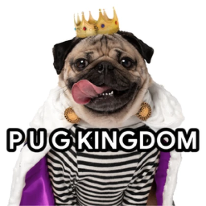 P U G KINGDOM Roblox group icon