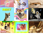 #DOGESFORLIFE