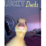 LuckyDucks