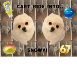CART RIDE INTO SNOWY !!!!!