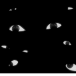 [ THE VOID ]