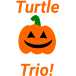 Turtle Trio!