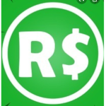 Jayden plays roblox