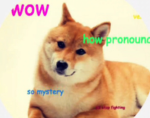 Totally_NotDoge!