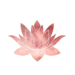 Pink Lotus (AA)