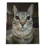 Zazu Cat Cape
