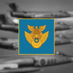 日本|Air Self-Defense Force