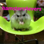 Hamster's Fun Zone!