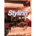 Stylinn' Group Thumbnail