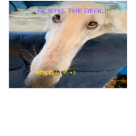 Aliens the real