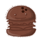 Coconut Burger