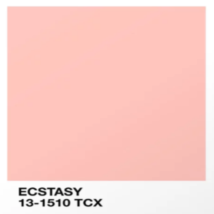 censored word :heart_eyes: {pantone} Roblox decal