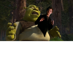Survive the shrek the killer