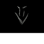sdsadad