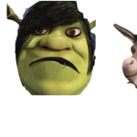 NICKI MINAJ CU1T and SHREK