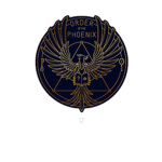 Order of the Phoenix - Magic Training