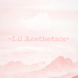 ~Lil Aesthetics Hangout~