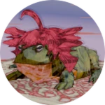 Frog Teto