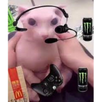 Kingdom Gamers