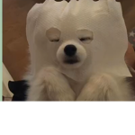*>S-A-M-I<*