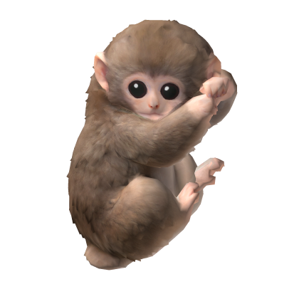 Punch Monkey on Shoulder