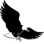 Noble Eagles