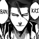 Aizen Clan