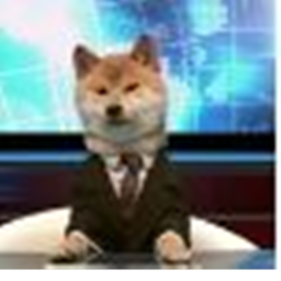 Doge Federation News