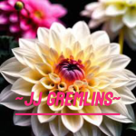 ~JJ Gremlins~