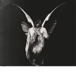 UNDEROATH CREED