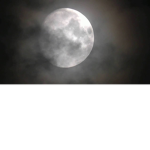 the moonlight socitey
