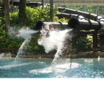 Action Park