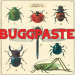 Buggpastex!