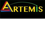 Artemis Global Security 2