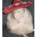 Pelonos