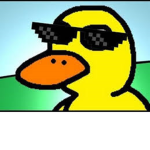 MLG-DUCKS