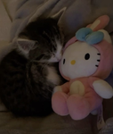 귀엽둥이><