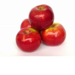 applescool's group