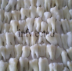 infwected