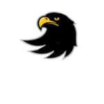 -The Black Falcon-