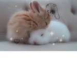 official FrozebunniYT group...