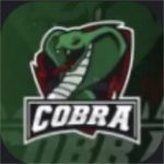 CobraXIS